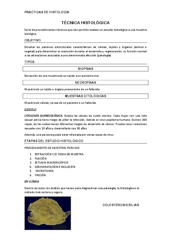 Miniatura del documento INTRODUCCIÓN.pdf