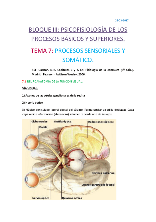 Miniatura del documento tema 7 psicofio.pdf