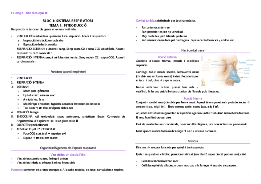 Miniatura del documento Fisiologia-i-fisiopatologia-III-tot.pdf