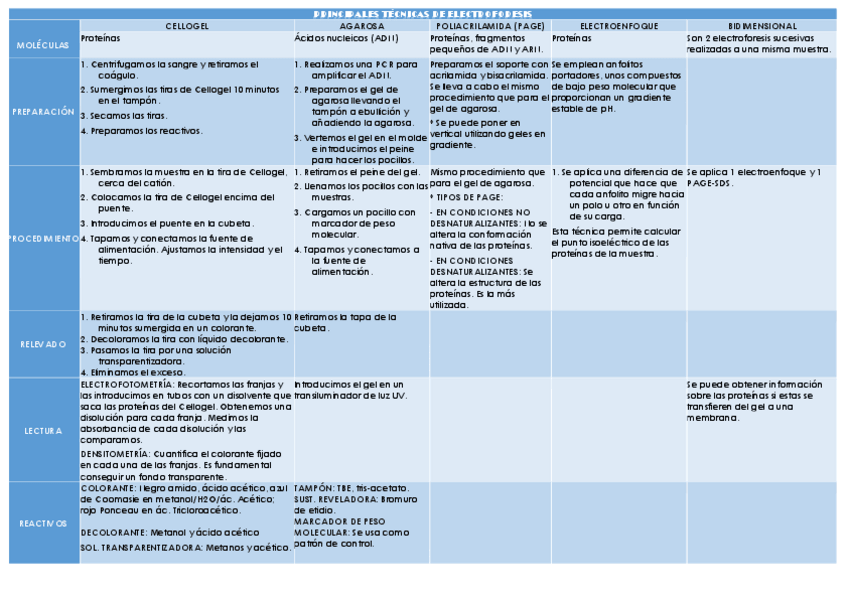 Miniatura del documento PRINCIPALES-TECNICAS-DE-ELECTROFORESIS.pdf