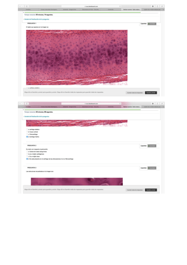 Miniatura del documento PREGUNTAS-EXAMENES-BIO.pdf