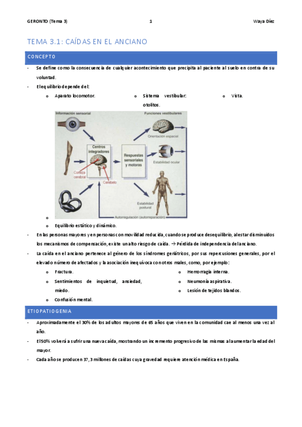 Miniatura del documento APUNTES-TEMA-3.pdf