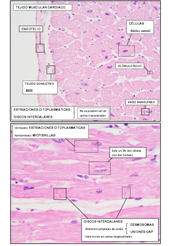 Miniatura del documento PRÁCTICA 3.pdf