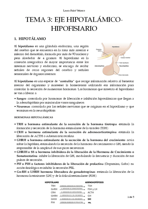 Miniatura del documento T.3-Eje-hipotalamico-hipofisiario-PDF.pdf