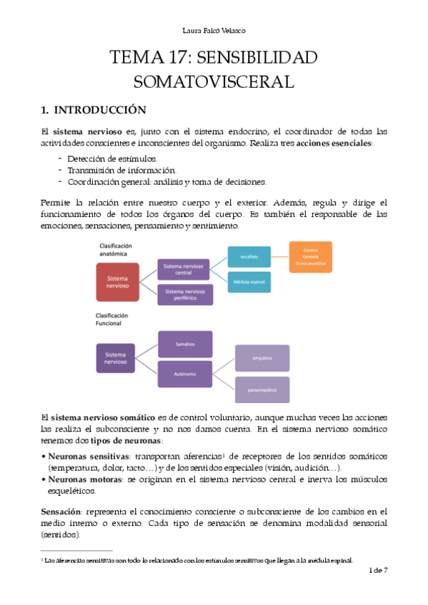 Miniatura del documento T.17-Sensibilidad-Somato-visceral.-PDF.pdf