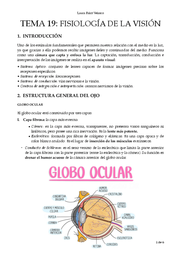 Miniatura del documento T.19-Vision-PDF.pdf
