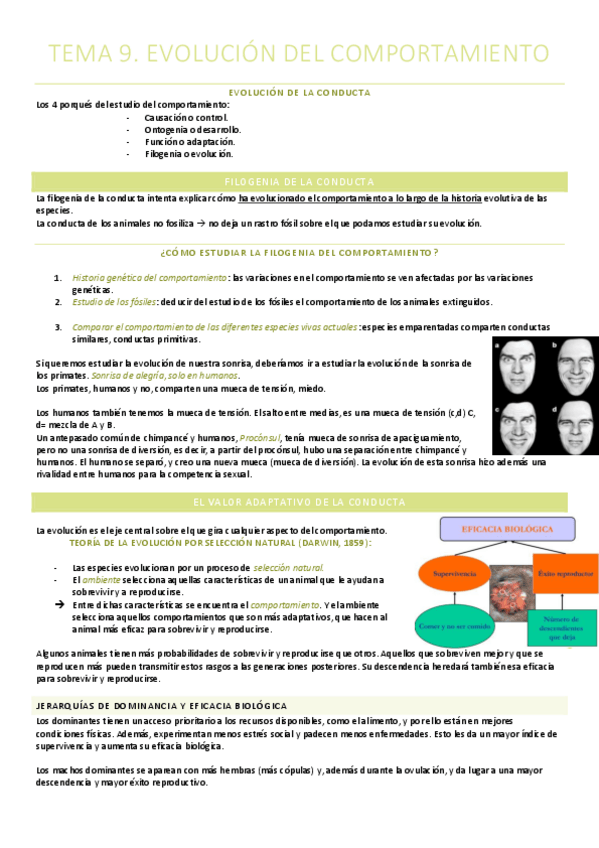 Miniatura del documento T.9.Evolucion del comportamiento