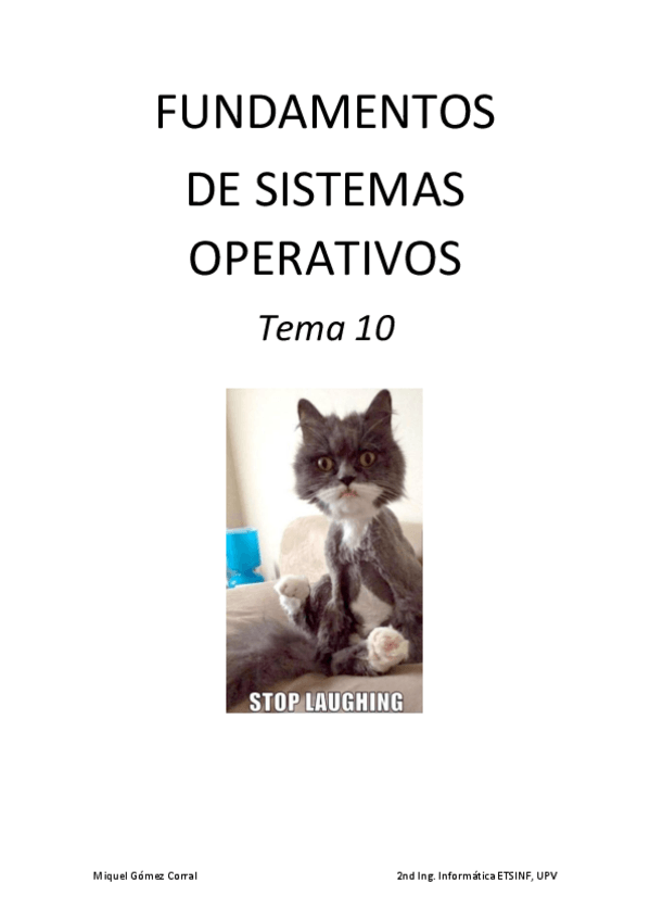 Miniatura del documento FSO-Tema-10.pdf