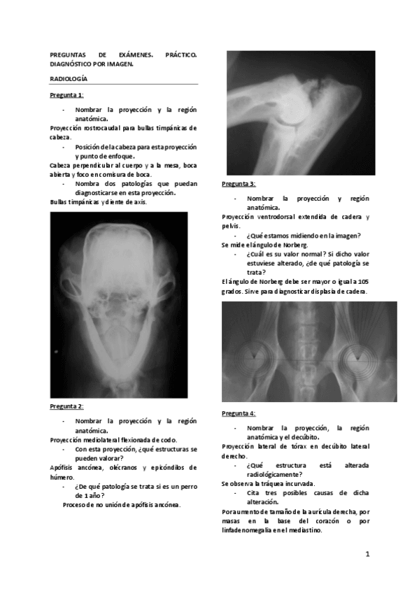 Miniatura del documento examenes-practico-dx.pdf
