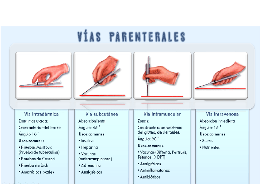 Miniatura del documento VIA-PARENTERAL.pdf