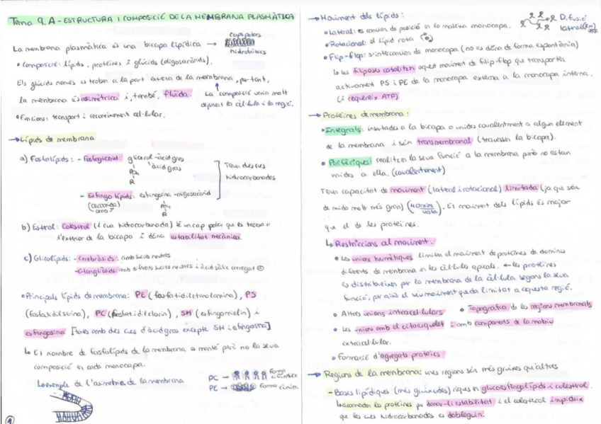 Miniatura del documento Apuntes bio celular.pdf