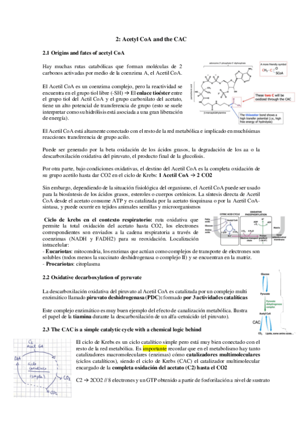 Miniatura del documento TEMA-2-MB.pdf