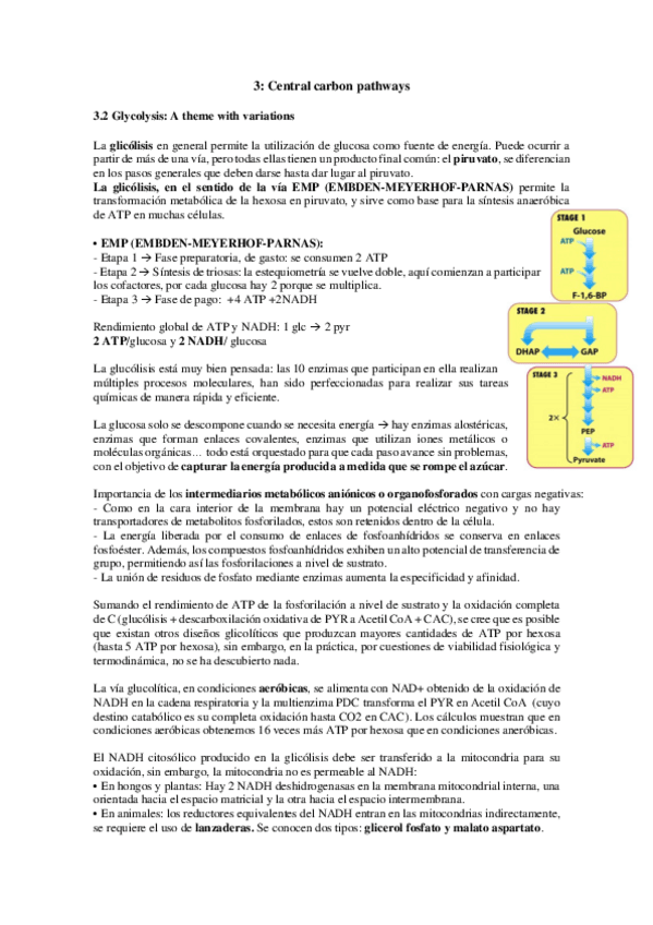 Miniatura del documento TEMA-3-MB.pdf