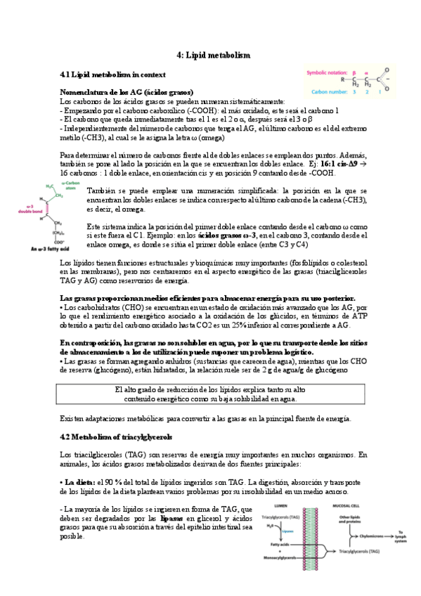 Miniatura del documento TEMA-4-MB.pdf