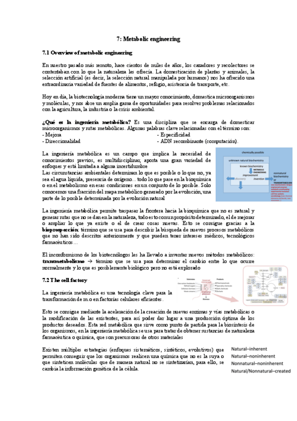 Miniatura del documento TEMA-7-MB.pdf