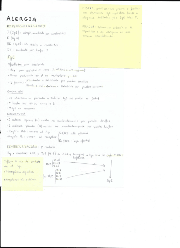 Miniatura del documento Alergia.pdf