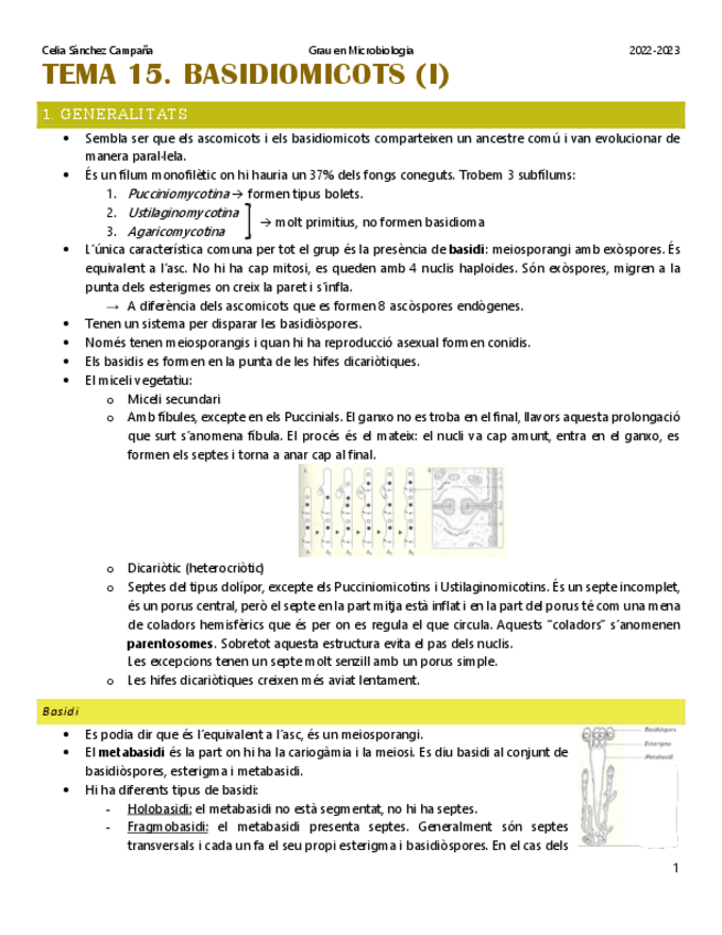 Miniatura del documento Tema-15.-Basidiomicots-1.pdf