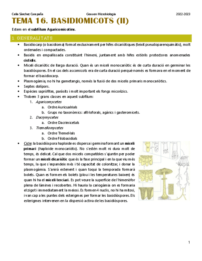 Miniatura del documento Tema-16.-Basidiomicots-2.pdf