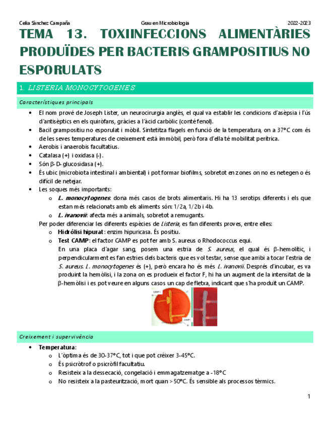 Miniatura del documento Tema-13.-Toxiinfeccions-alimentaries-produides-per-bacteris-grampositius-no-esporulats.pdf