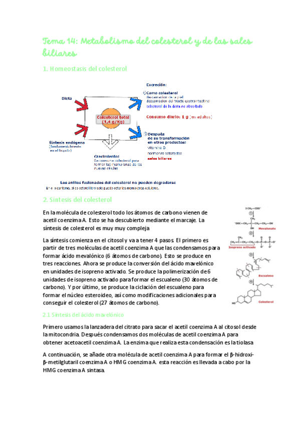 Miniatura del documento Tema-14-Metabolismo-colesterol-.pdf