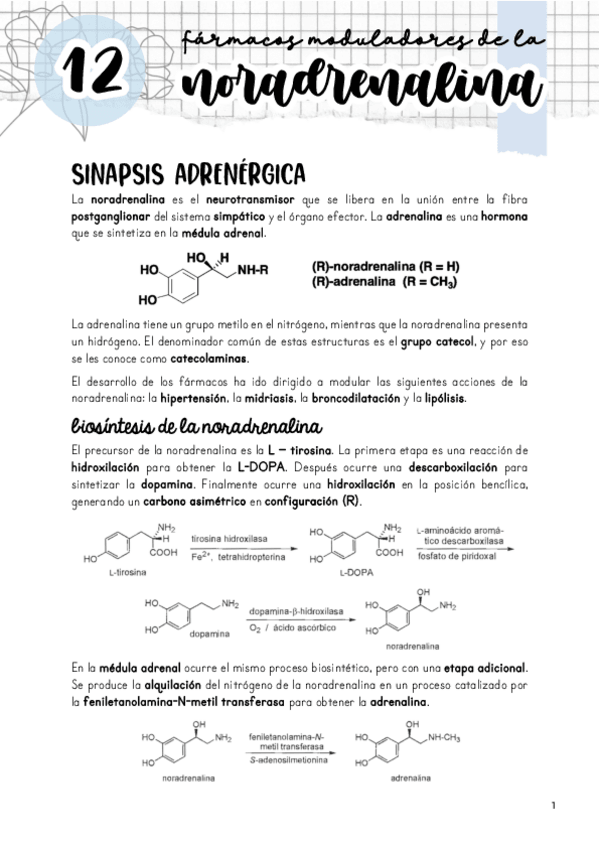 Miniatura del documento Tema-12.-Moduladores-de-la-adrenalina.pdf