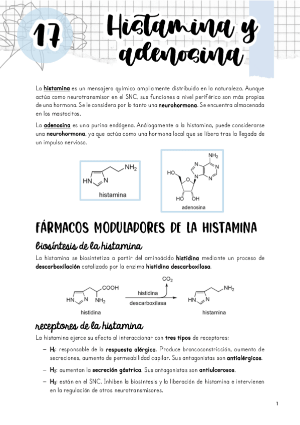 Miniatura del documento Tema-17.-Histamina-y-adenosina.pdf