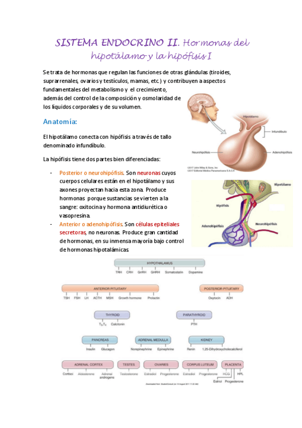 Miniatura del documento SISTEMA-ENDOCRINO-II.pdf