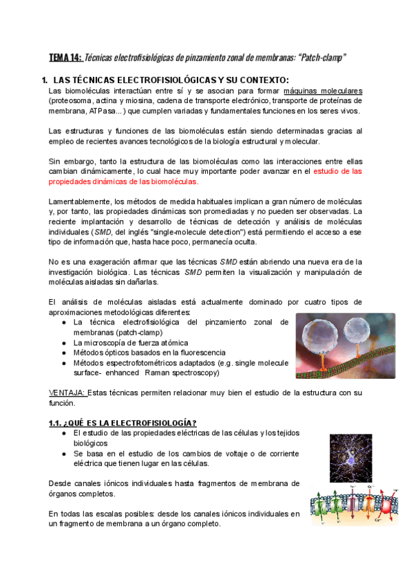 Miniatura del documento TEMA-14-TIA.pdf