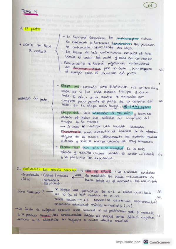 Miniatura del documento tema-4.pdf