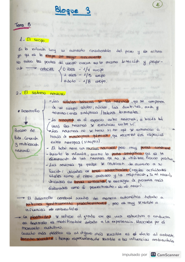 Miniatura del documento tema-5.pdf