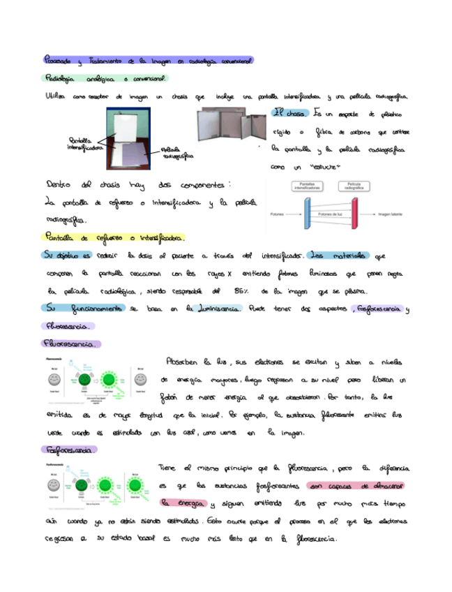 Miniatura del documento Fundamento-tema-3.pdf