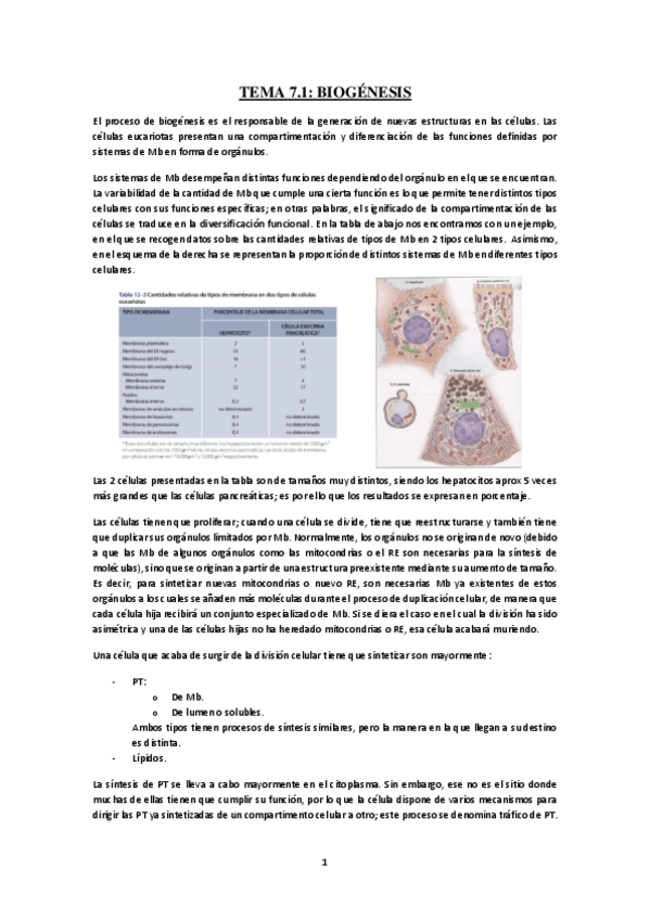 Miniatura del documento Tema-7.1-Biogenesis.pdf