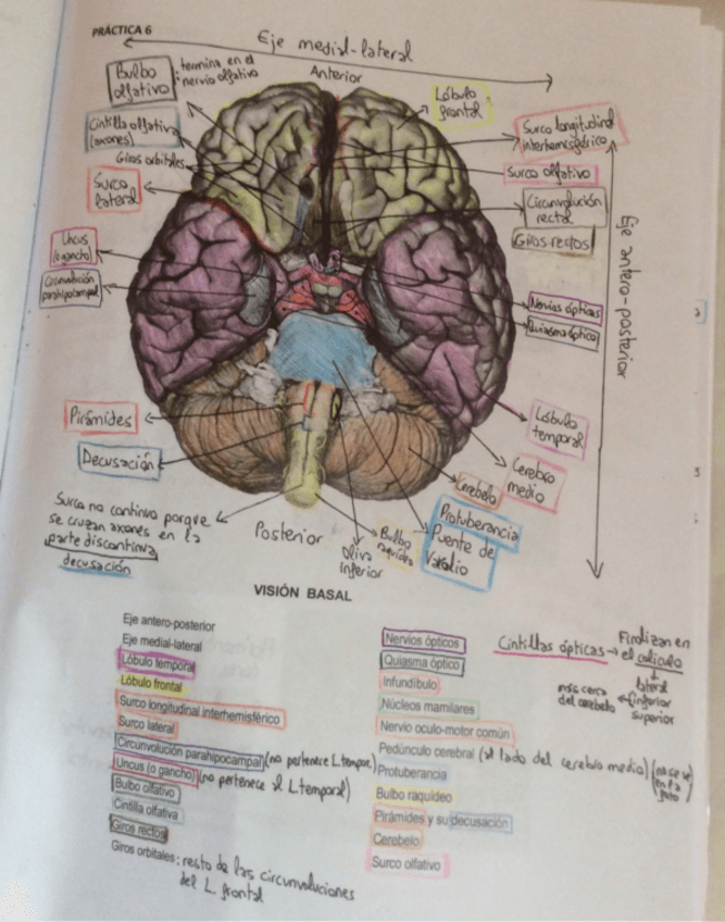 Miniatura del documento Prácticas.pdf