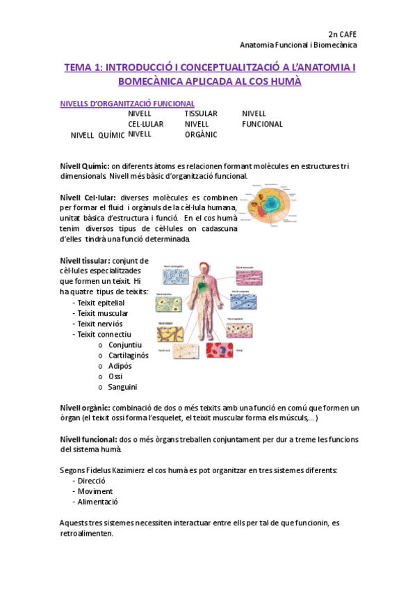 Miniatura del documento Apunts-Anatomia-Funcional-i-Bimoecanica-BO.pdf