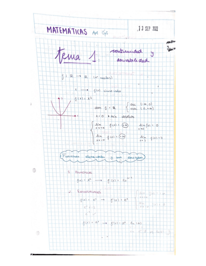 Miniatura del documento Tema-1.1-ContinuidadyDerivabilidad.pdf