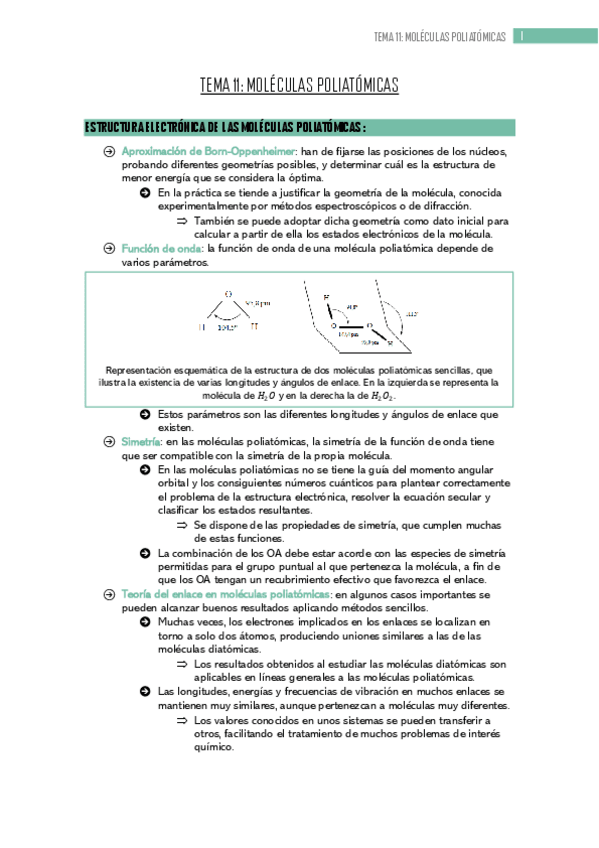 Miniatura del documento tema-11.pdf
