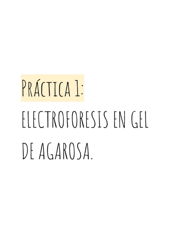 Miniatura del documento PRACTICA-ELECTROFORESIS.pdf