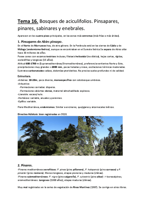 Miniatura del documento Tema-16.-Bosques-de-aciculifolios.-Pinsapares-pinares-sabinares-y-enebrales..pdf