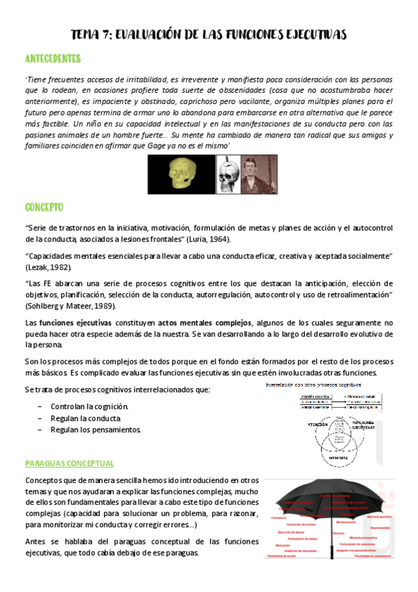 Miniatura del documento Tema-7-evaluacion-neuropsicologica.pdf