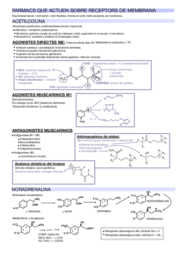 Miniatura del documento RESUM-FARMA-II-T10.pdf