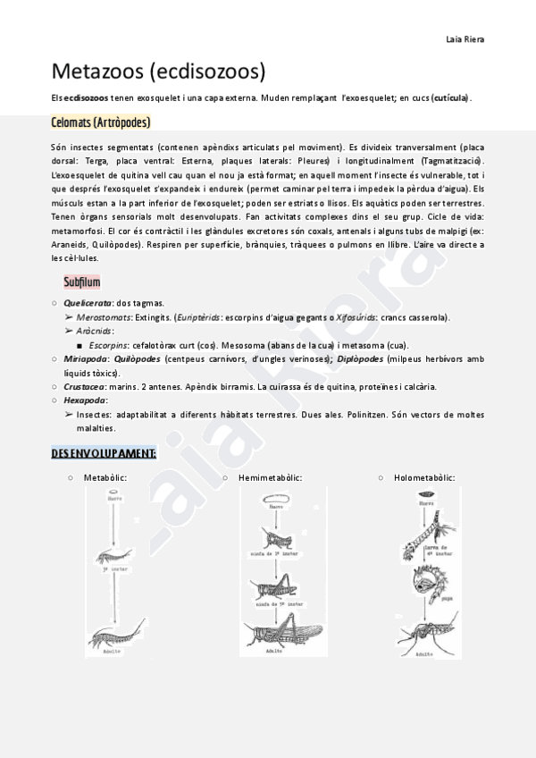 Miniatura del documento 6.3.-Metazoos-ecdisozoos-23.pdf