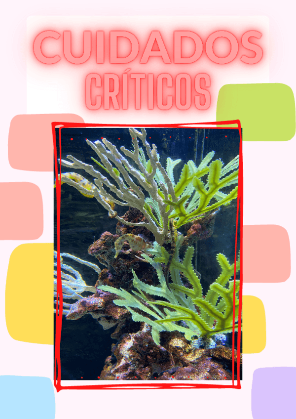 Miniatura del documento Preguntas-tipo-test-Cuidados-Criticos-inventadas.pdf