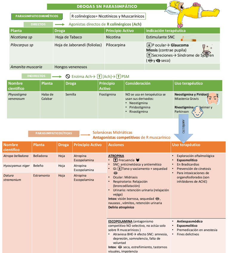 Miniatura del documento Drogas-SN-periferico-Autonomo-y-Somatico.pdf