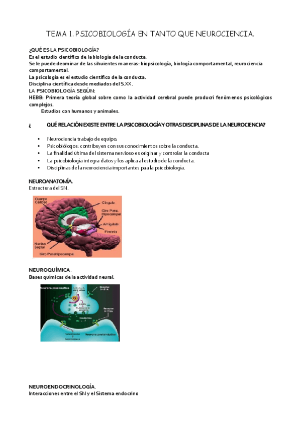 Miniatura del documento T1-Psicobiologia.pdf