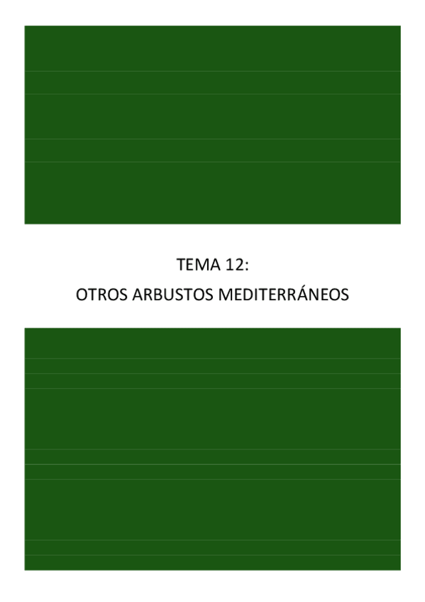 Miniatura del documento Tema-12-estilo-davidd0212.pdf