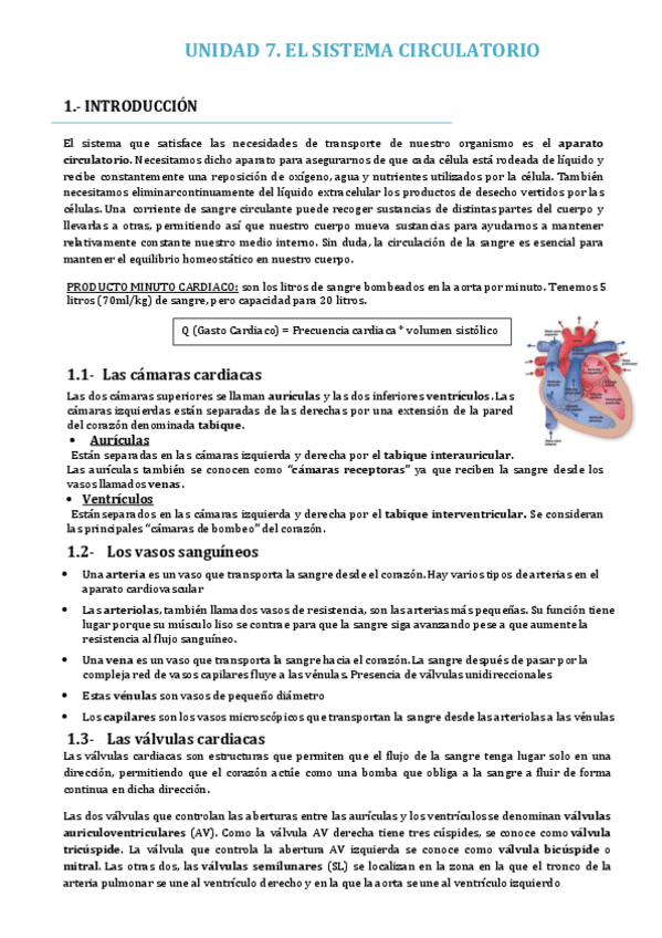 Miniatura del documento Sistema-CirculatorioUCLM.pdf