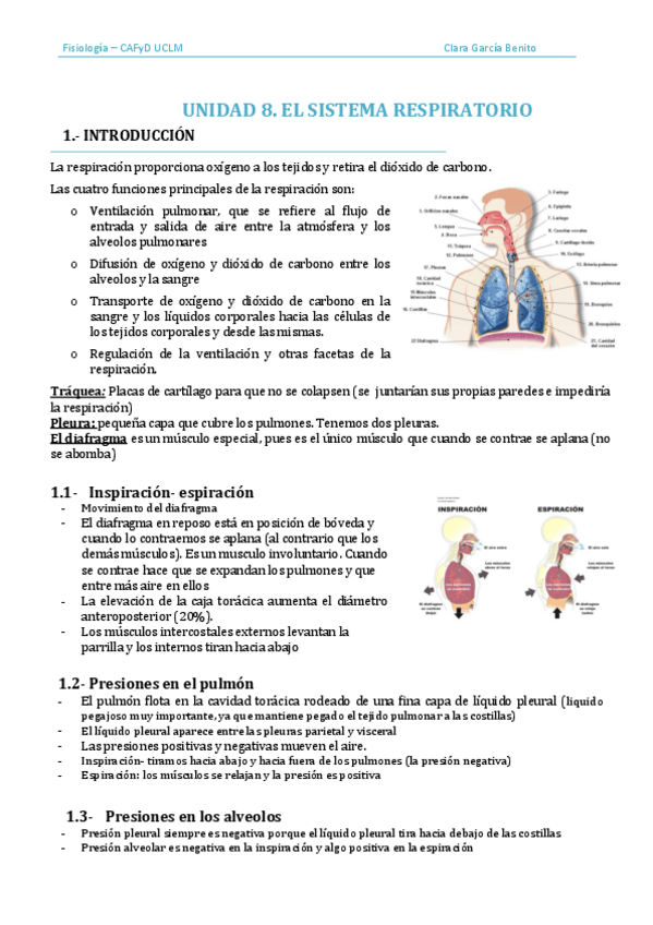 Miniatura del documento Sistema-Respiratorio.pdf