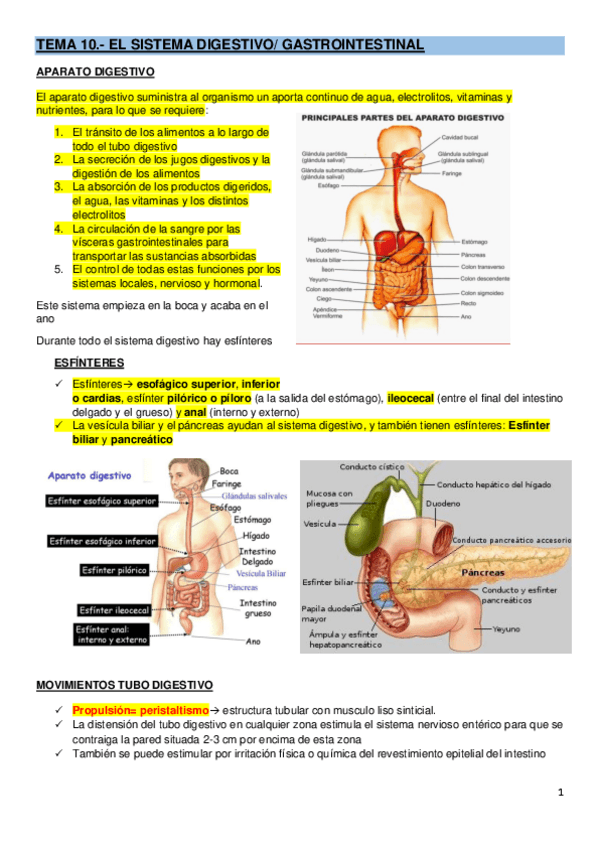 Miniatura del documento Ultimos-temas.pdf