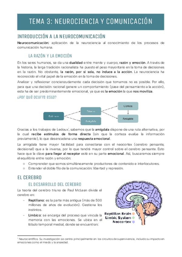 Miniatura del documento TEMA-3-NEUROCIENCIA-Y-COMUNICACION.pdf