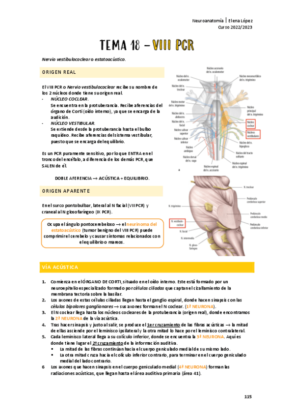 Miniatura del documento VIII-PCR.pdf